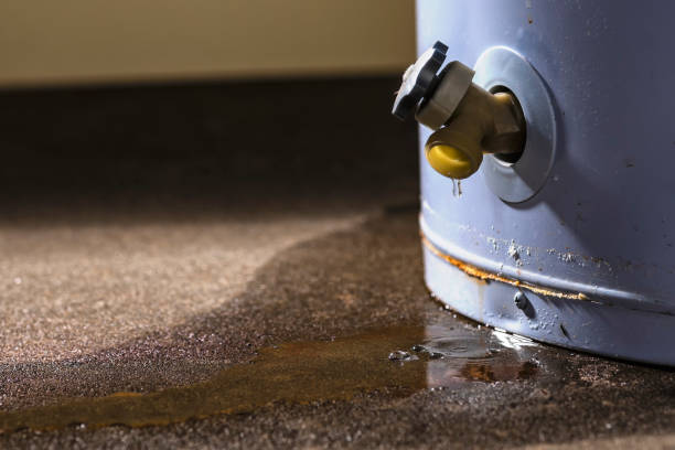 Best Professional water damage repair  in Twentynine Palms, CA