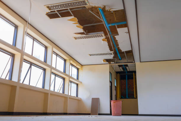 Best Carpet water damage restoration  in Twentynine Palms, CA