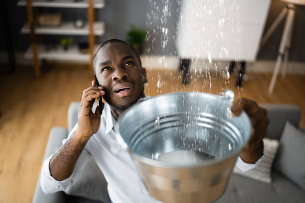 Best Water damage restoration insurance claims  in Twentynine Palms, CA