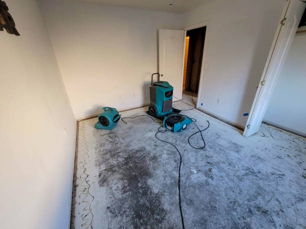 Best Flood damage cleanup  in Twentynine Palms, CA