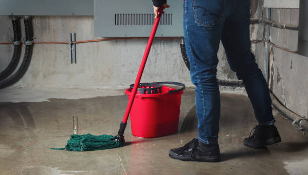 Best Flood damage cleanup  in Twentynine Palms, CA