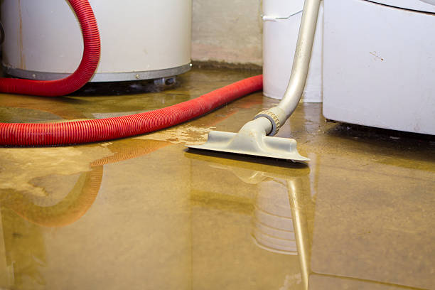 Best Water damage restoration services  in Twentynine Palms, CA
