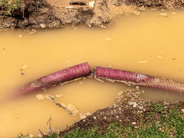 Best Commercial water damage restoration  in Twentynine Palms, CA