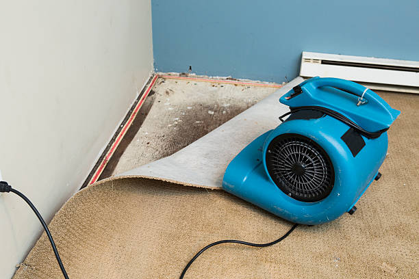 Best Flood restoration services  in Twentynine Palms, CA